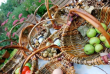 Summer basket workshops